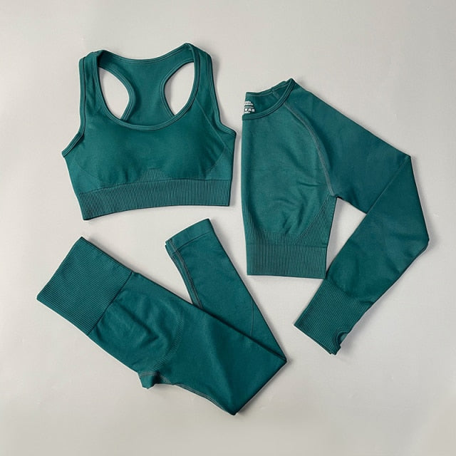 Seamless Yoga Set Fitness Clothing