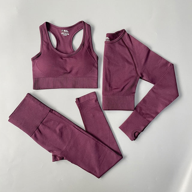 Seamless Yoga Set Fitness Clothing