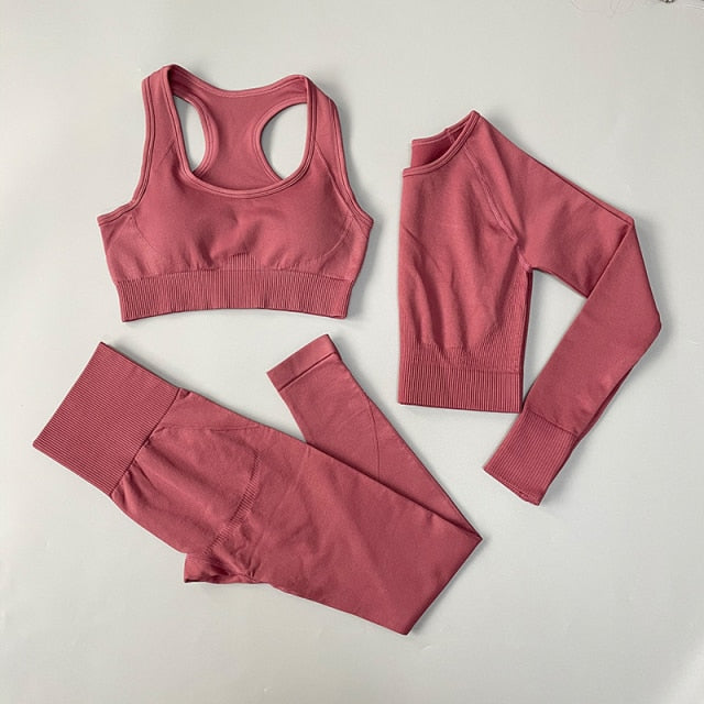 Seamless Yoga Set Fitness Clothing