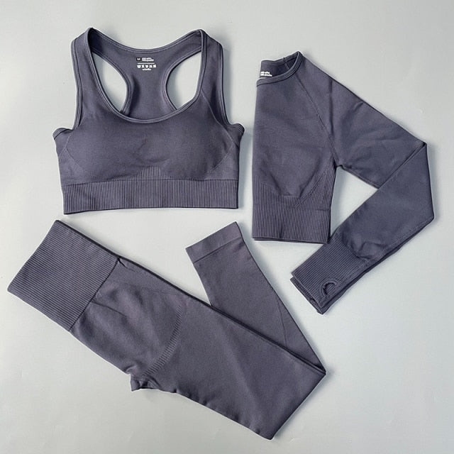 Seamless Yoga Set Fitness Clothing