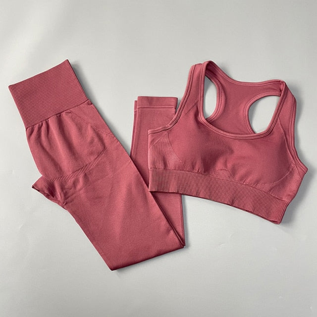 Seamless Yoga Set Fitness Clothing