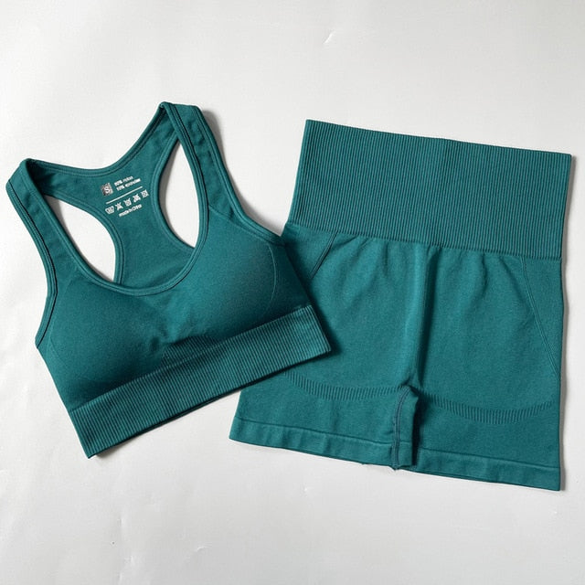Seamless Yoga Set Fitness Clothing