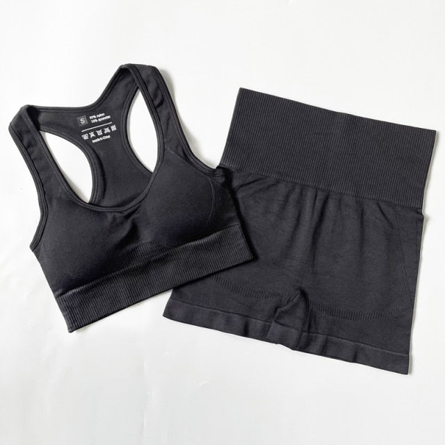 Seamless Yoga Set Fitness Clothing