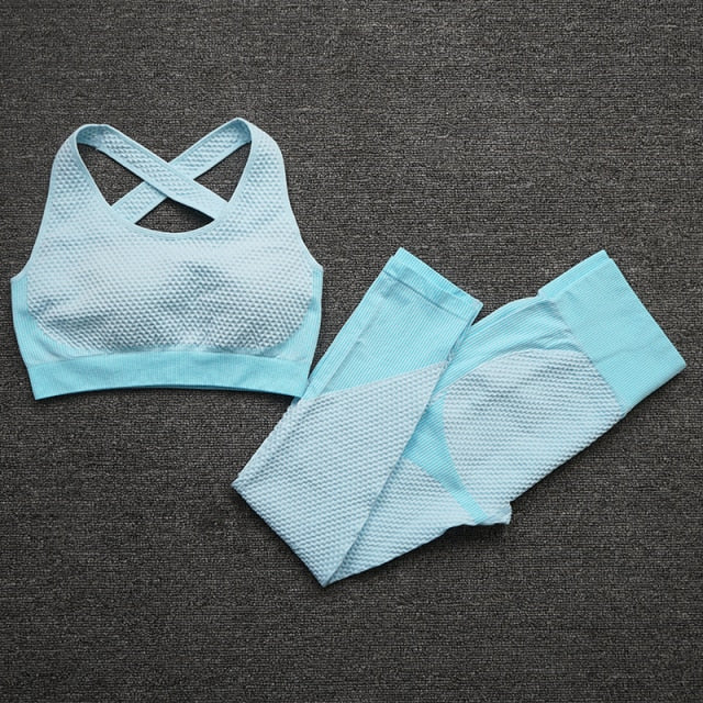 Seamless Yoga Set Fitness Clothing - 2/3PCS