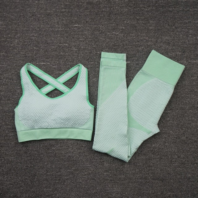 Seamless Yoga Set Fitness Clothing - 2/3PCS