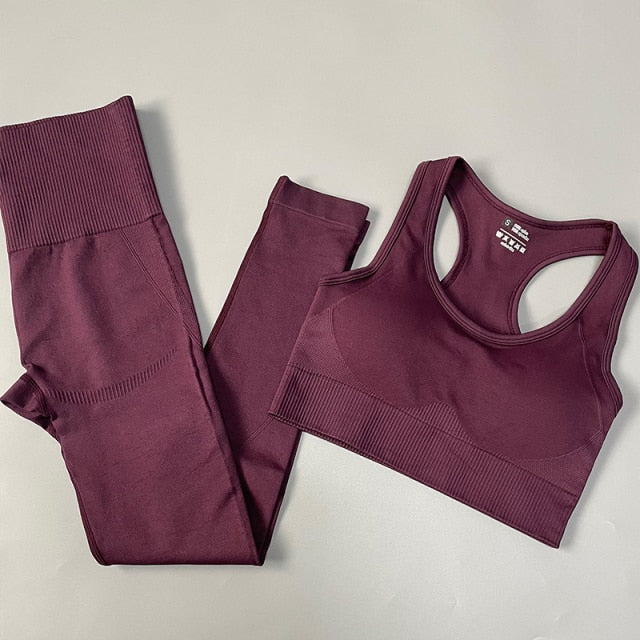 Seamless Yoga Set Fitness Clothing