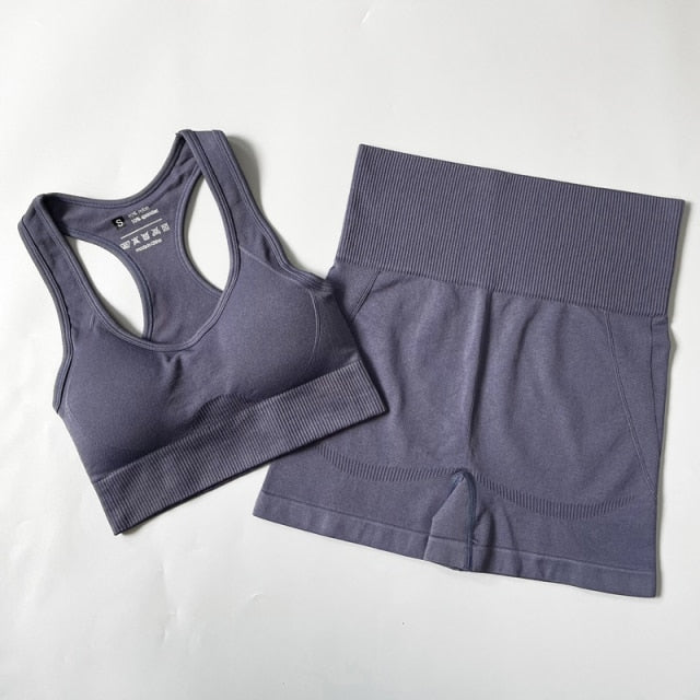 Seamless Yoga Set Fitness Clothing