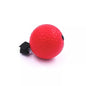 Boxing Speed Ball Punching Bag